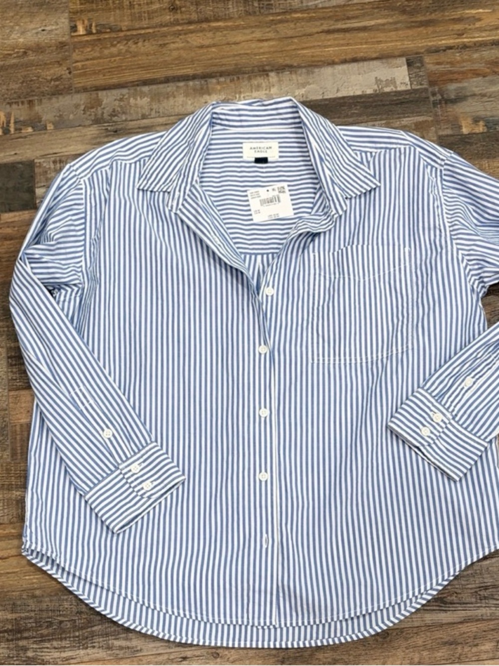 American Eagle Outfitters Blue and White Striped Button-Down Shirt